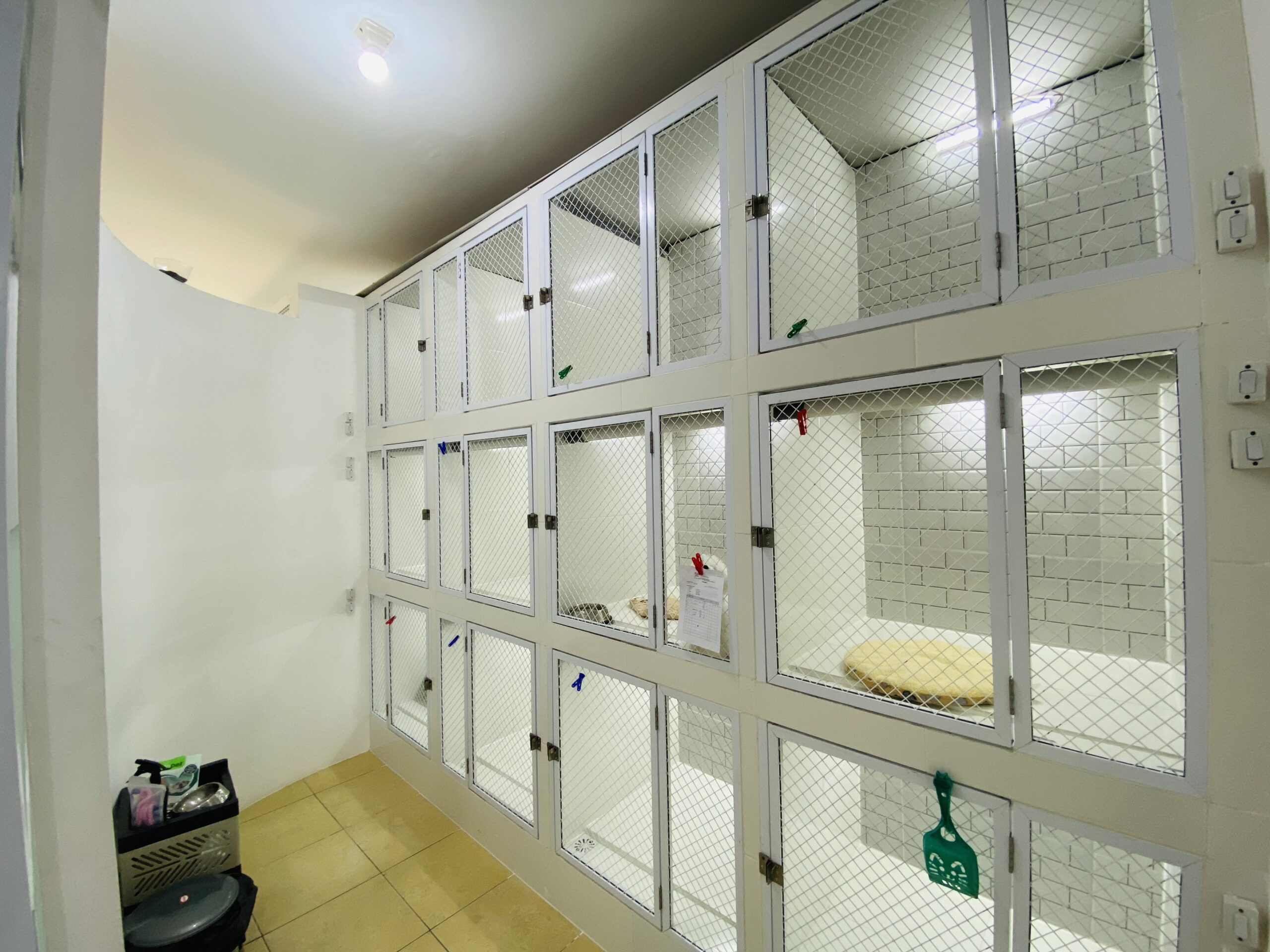 R. Cat Hotel