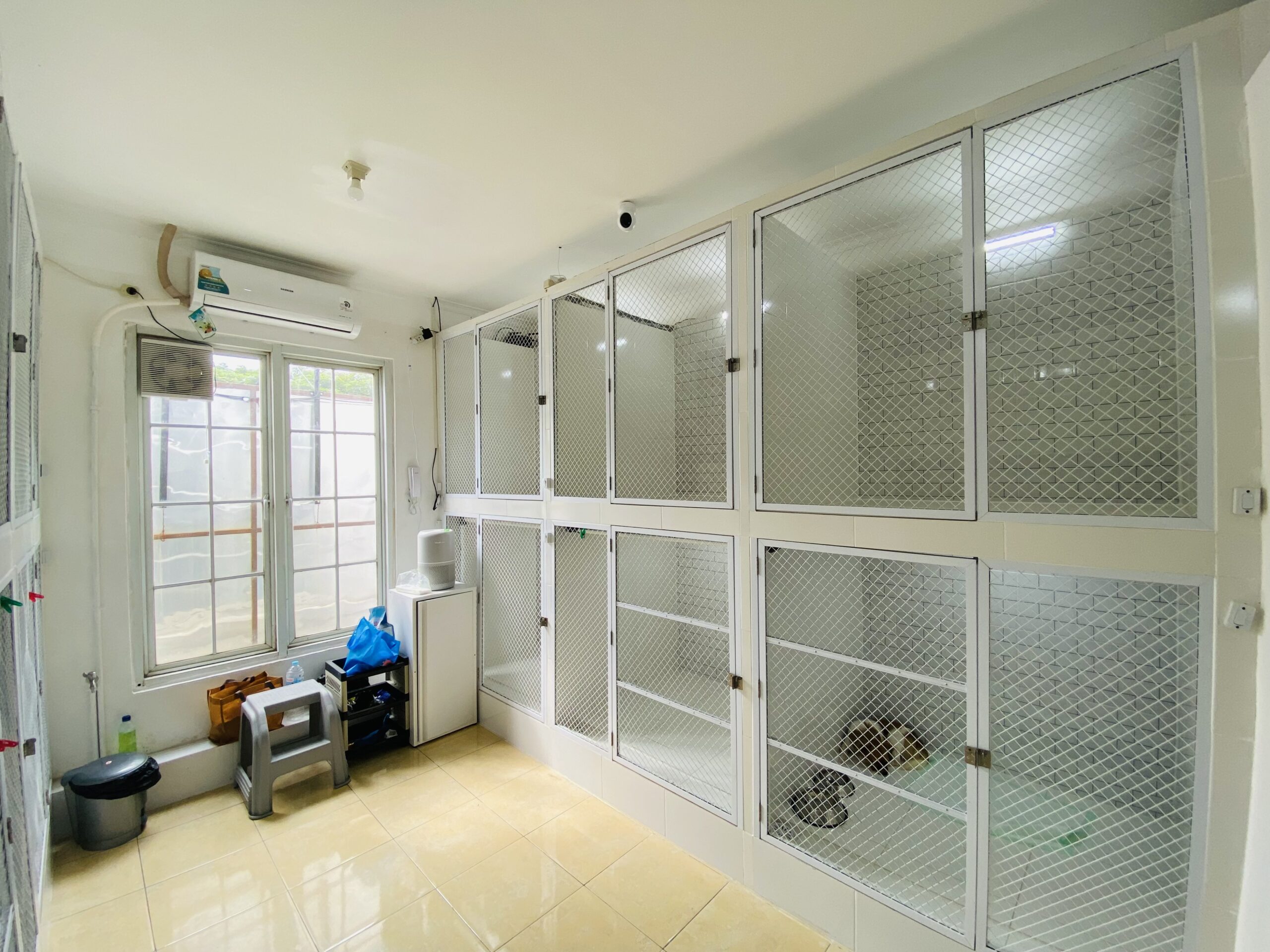 R. Dog Hotel