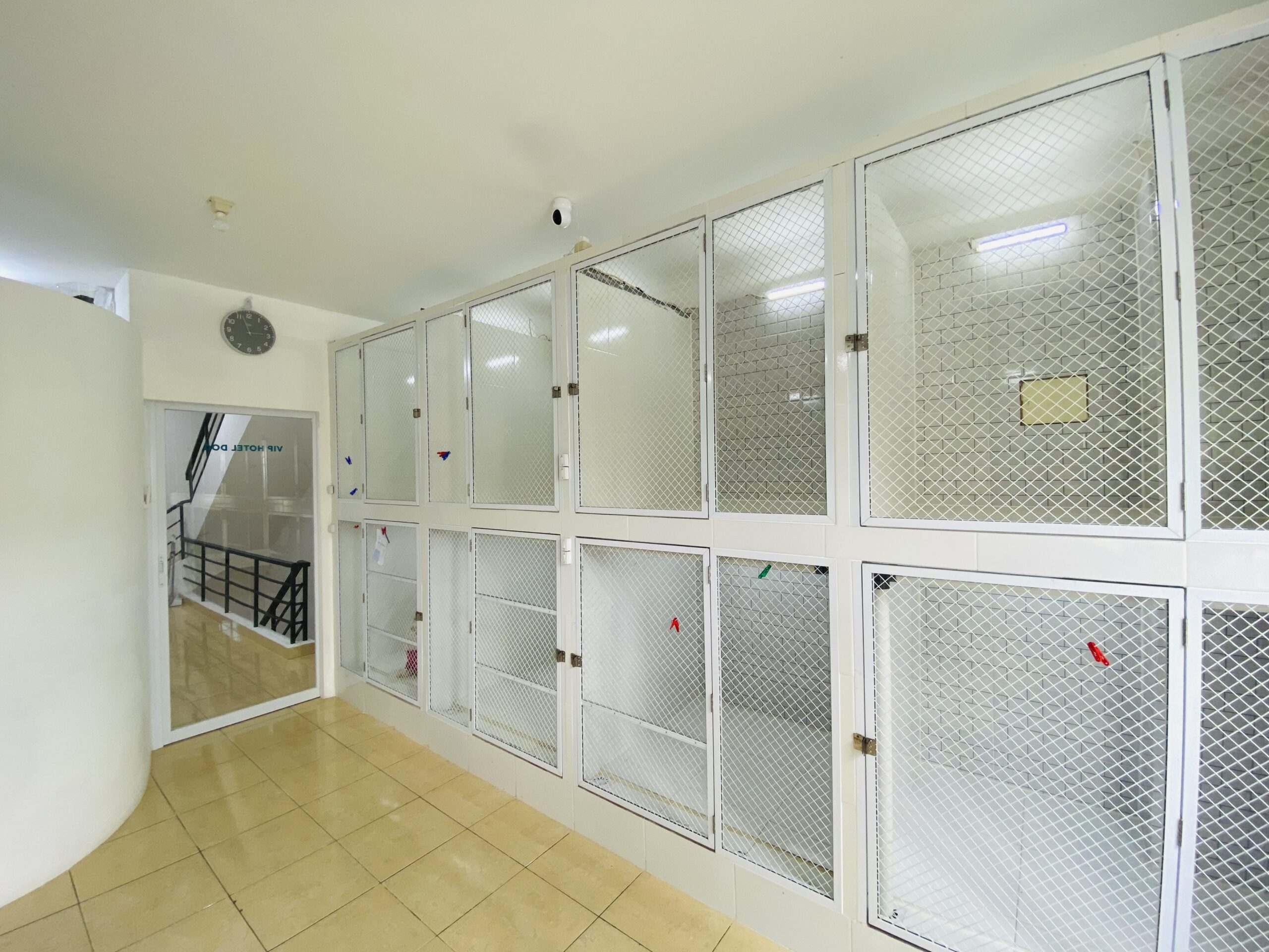 R. Dog Hotel